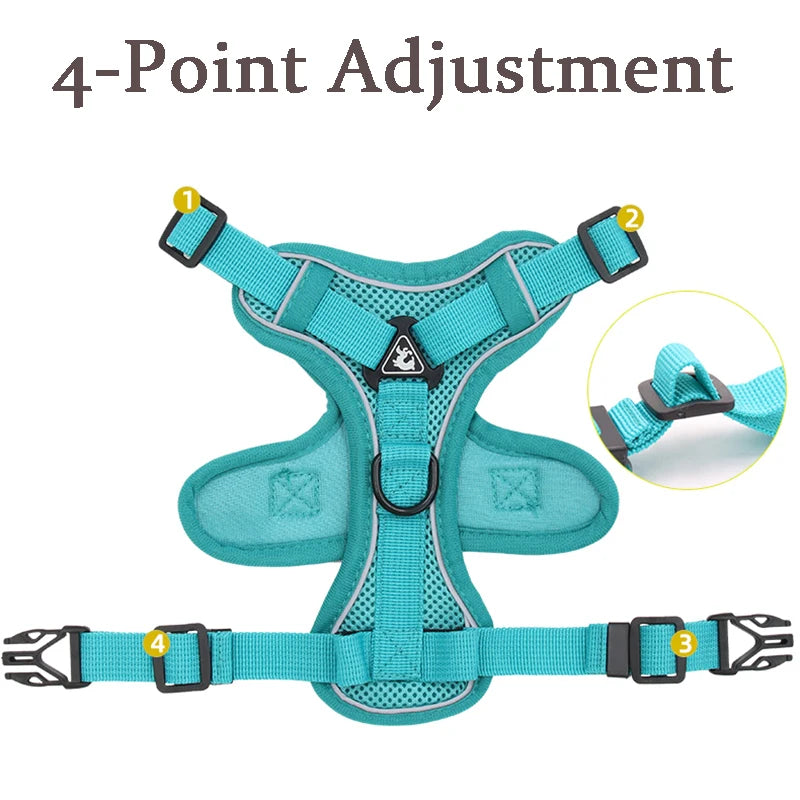 No Pull Dog Harness and Leash