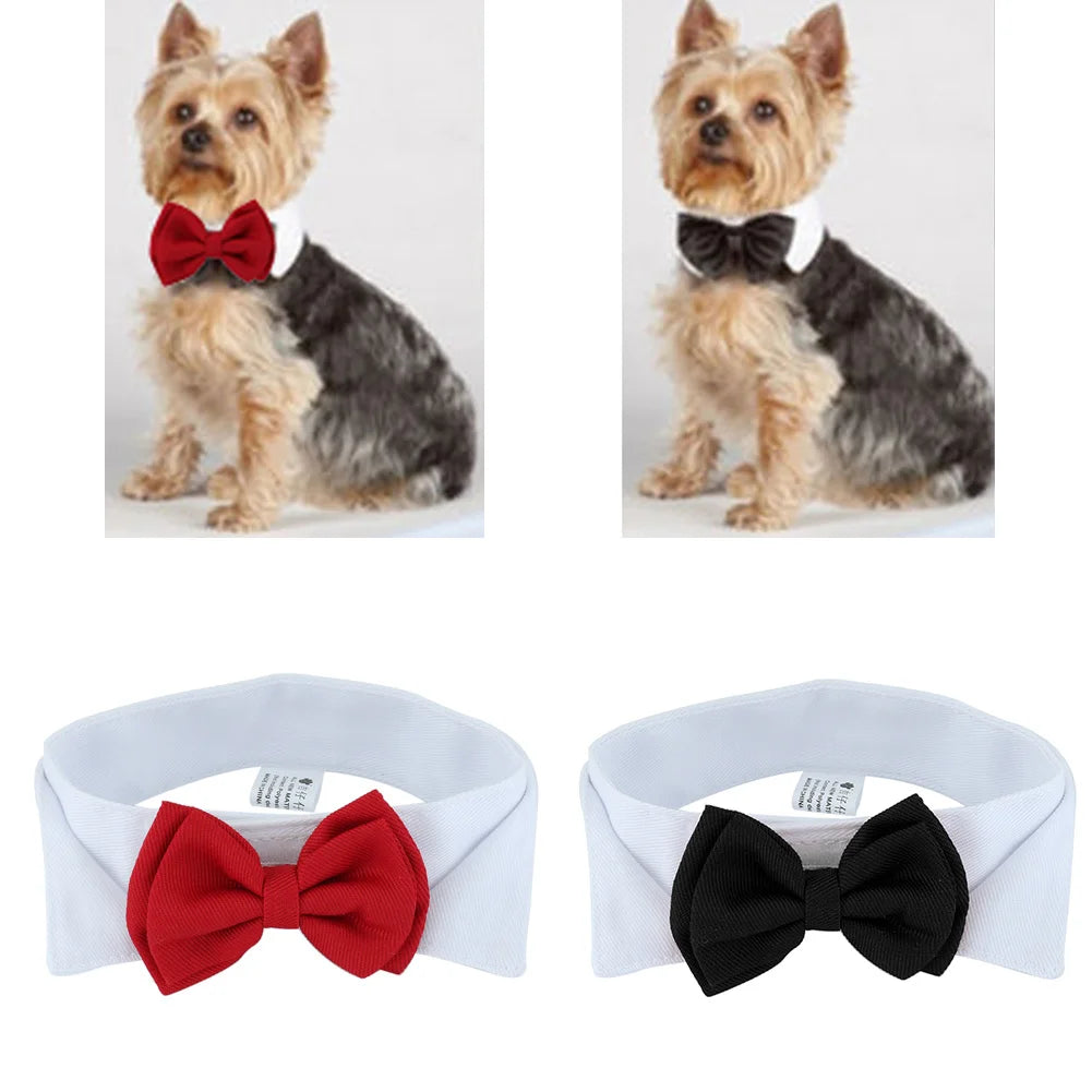 Adjustable Pets Bow