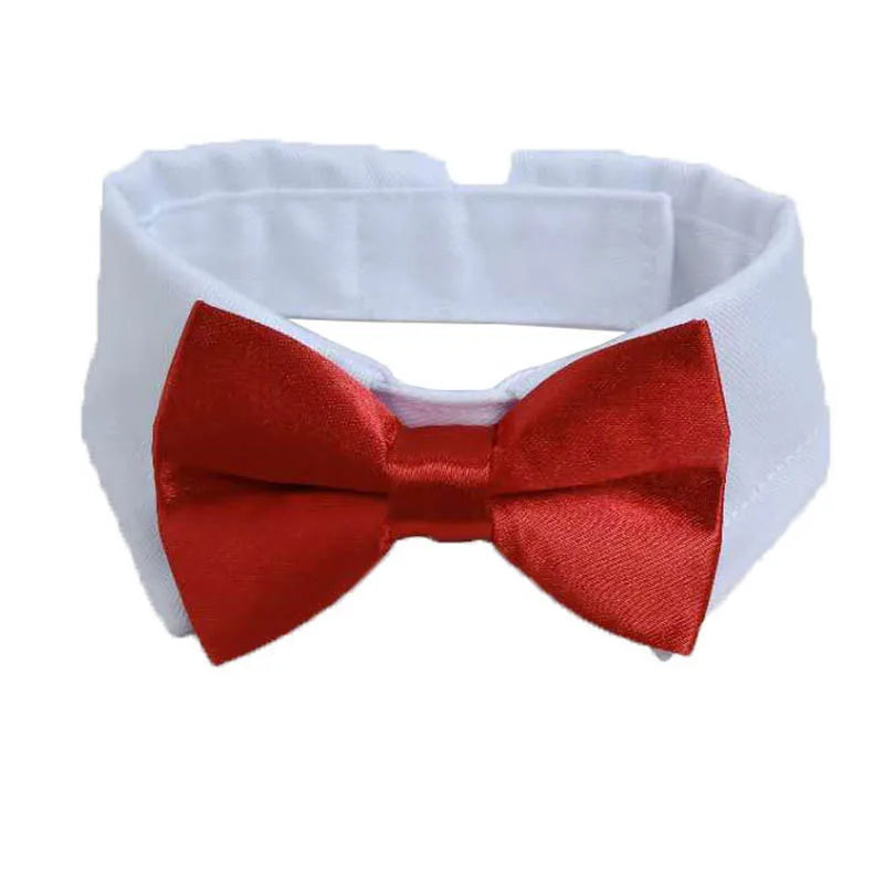 Adjustable Pets Bow