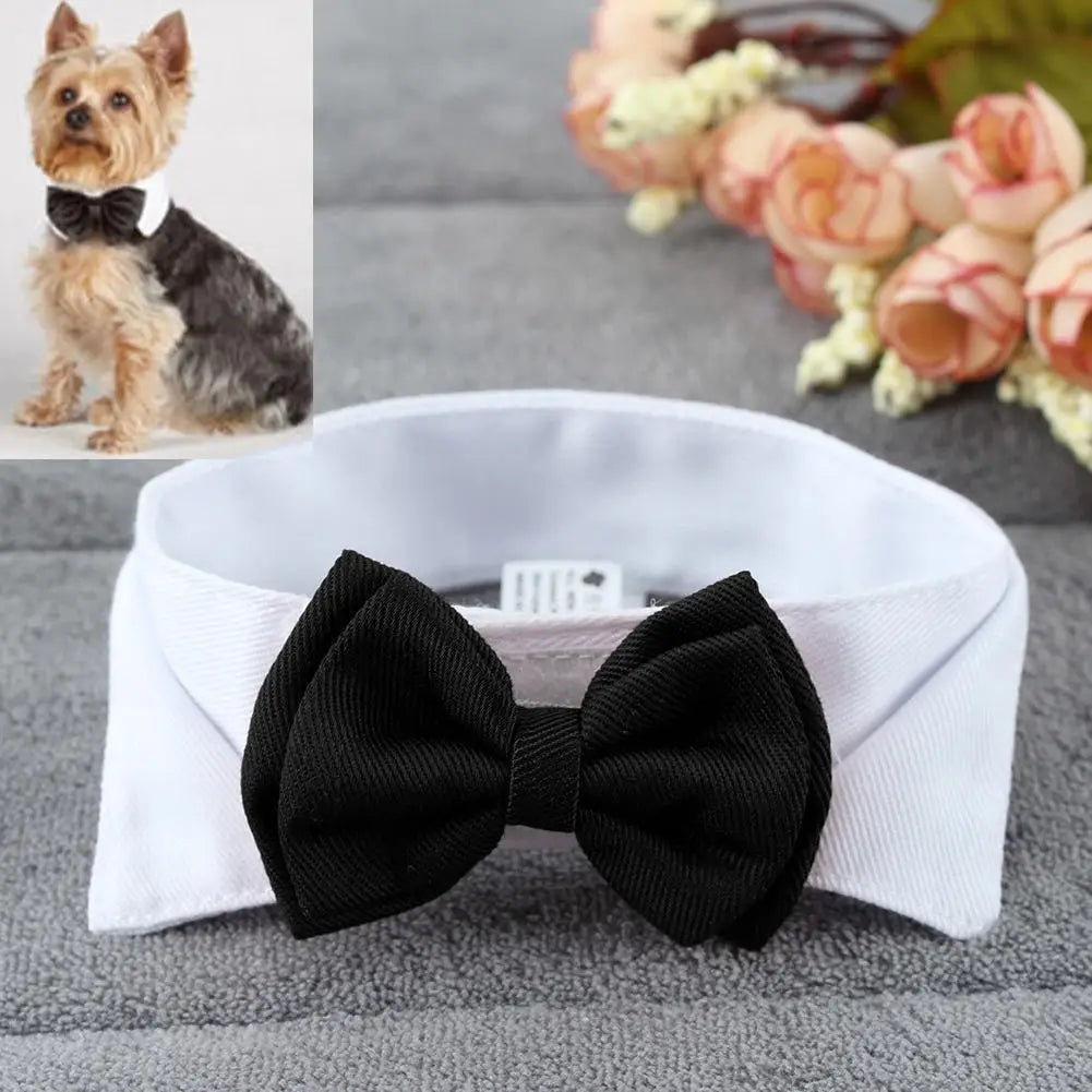 Adjustable Pets Bow