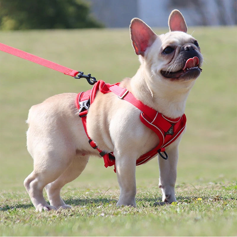 No Pull Dog Harness and Leash