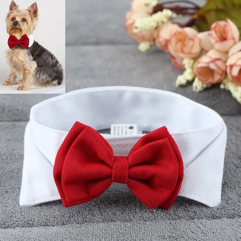 Adjustable Pets Bow