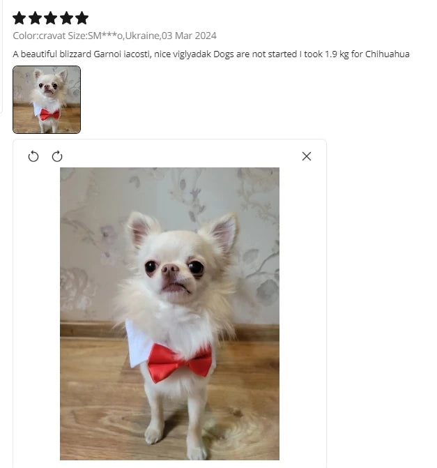 Adjustable Pets Bow