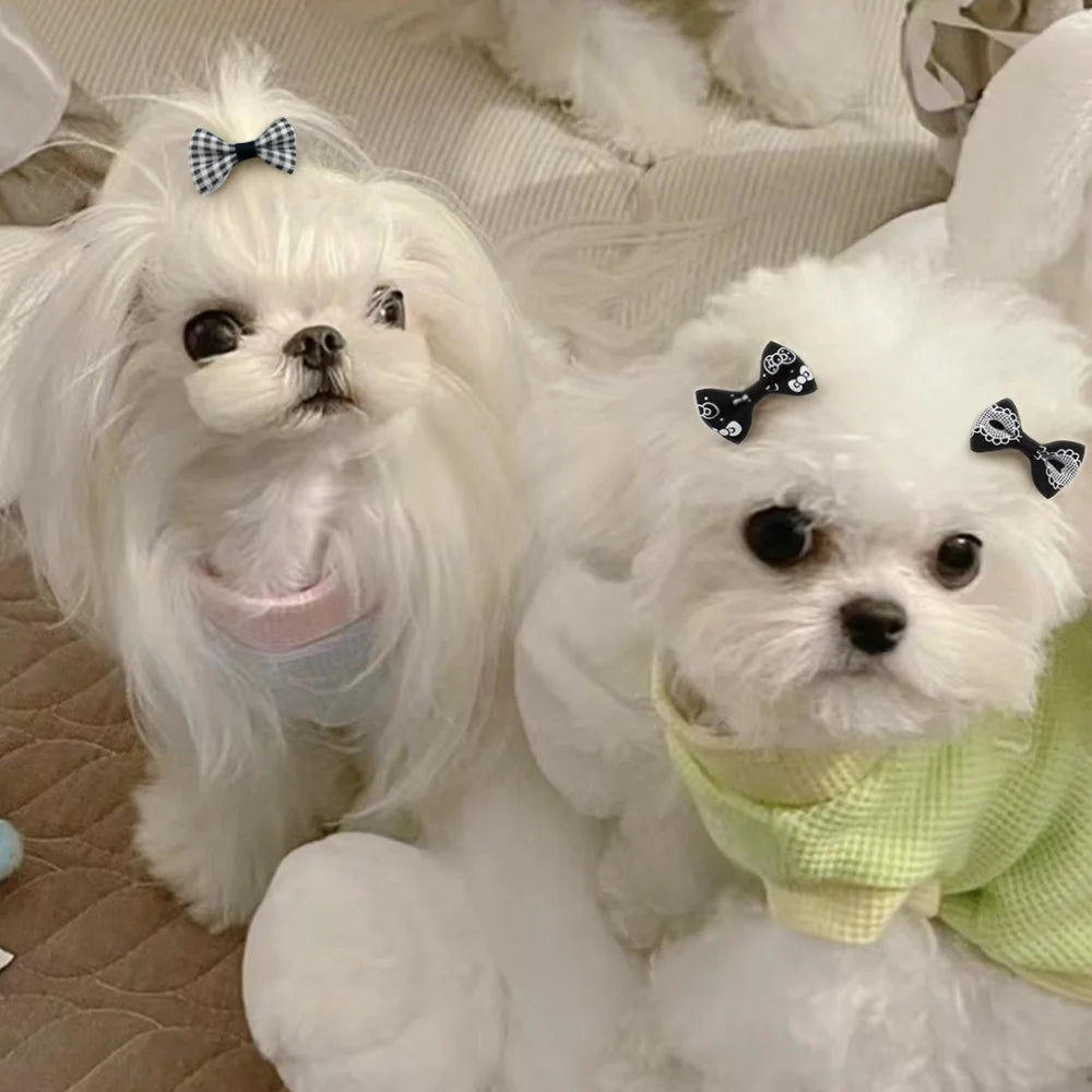 Set Cute Yorkie Pet Bows