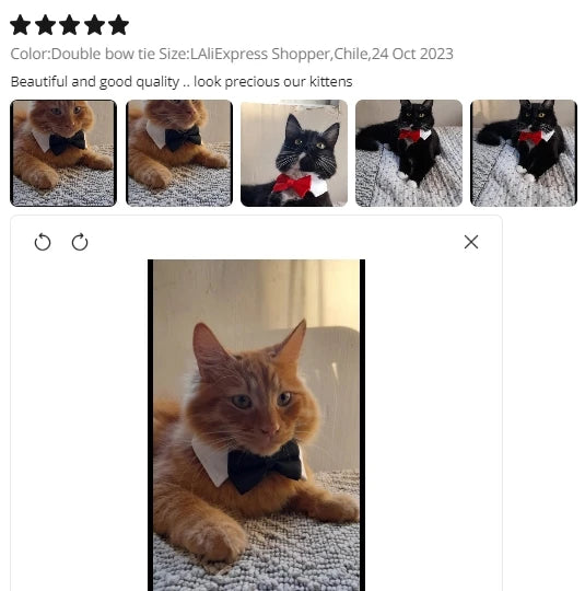 Adjustable Pets Bow