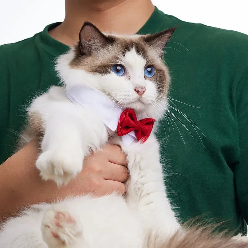 Adjustable Pets Bow