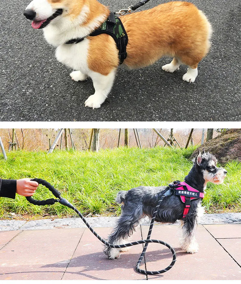 Strong Pet Leash