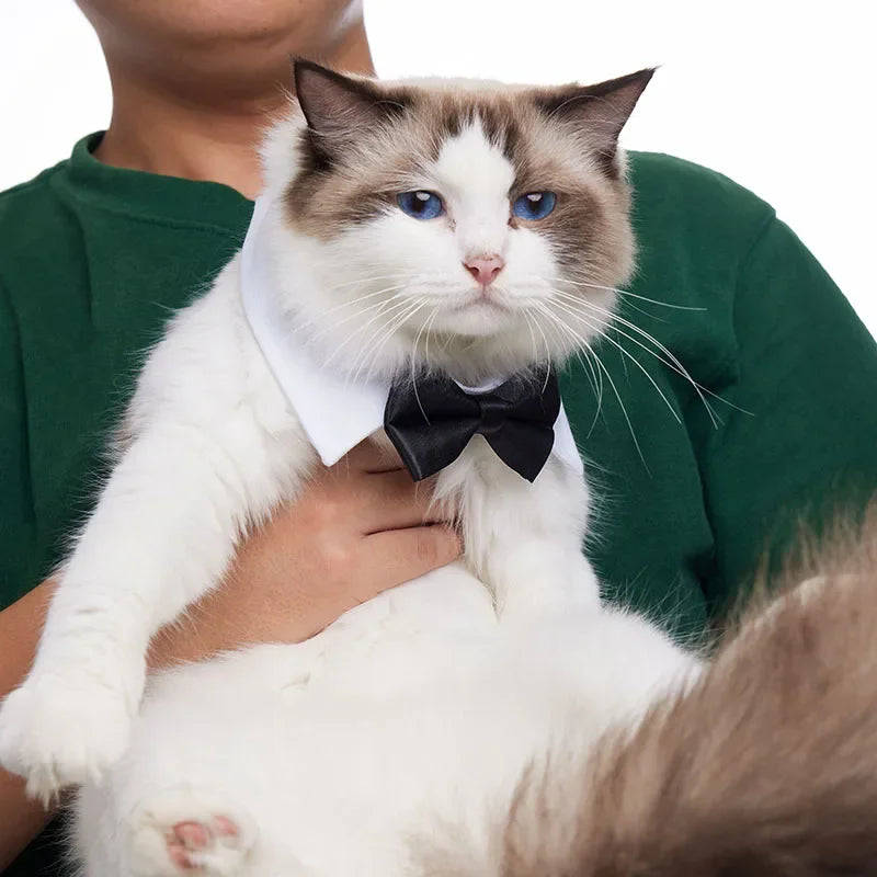 Adjustable Pets Bow