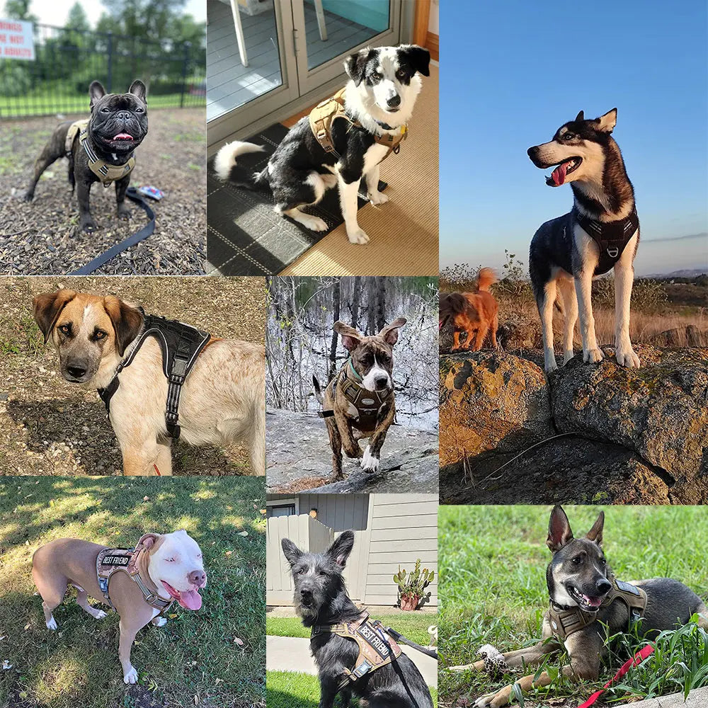 Reflective Tactical Harness For Large Small Dogs