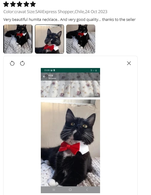 Adjustable Pets Bow