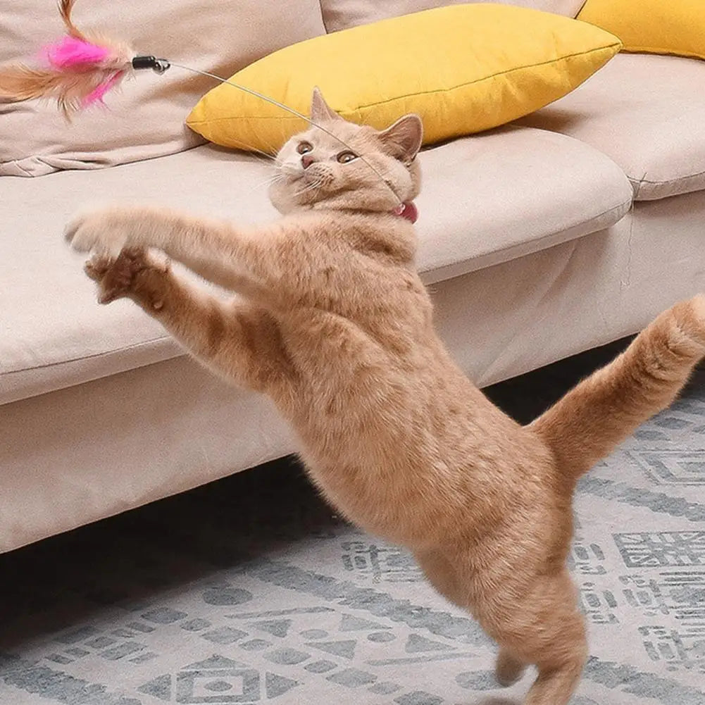 Lightweight Pet Wand Toy