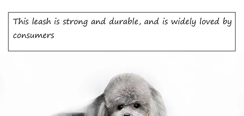 Strong Pet Leash