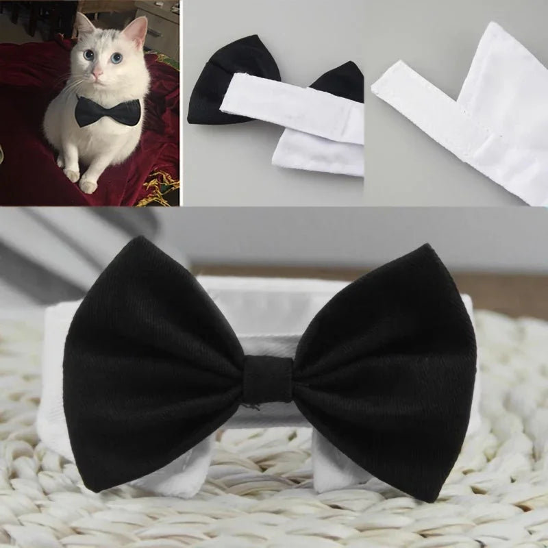 Adjustable Pets Bow