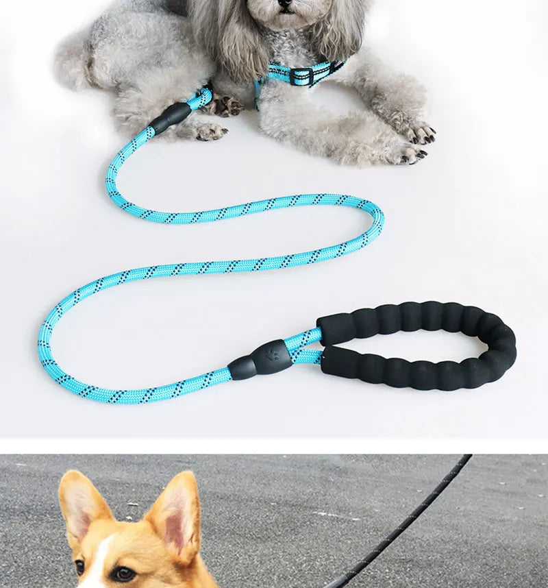 Strong Pet Leash