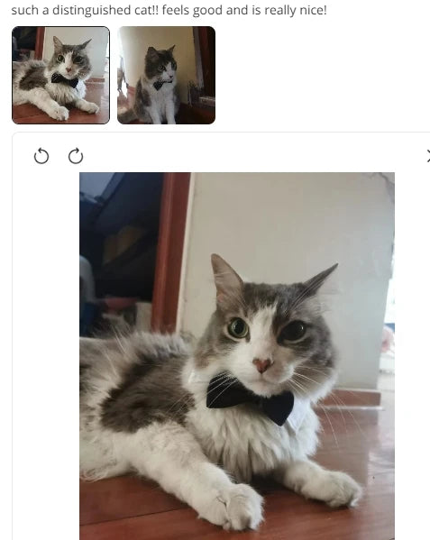 Adjustable Pets Bow