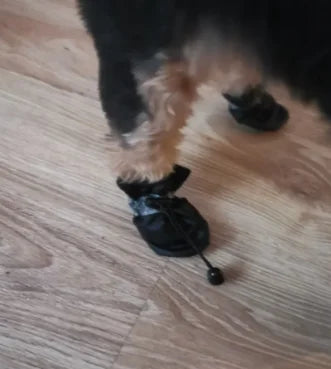 Waterproof Pet Shoes