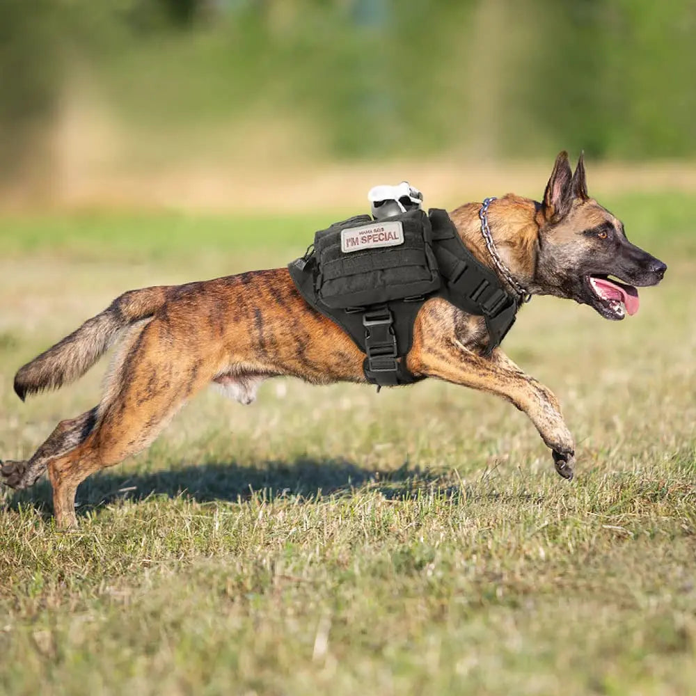 Military Large Dog Harness