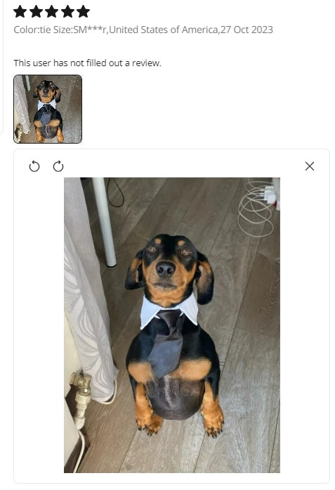Adjustable Pets Bow