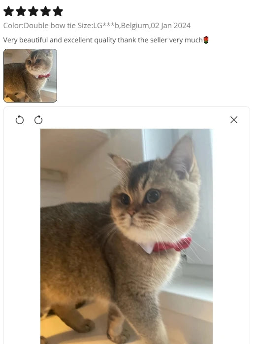 Adjustable Pets Bow