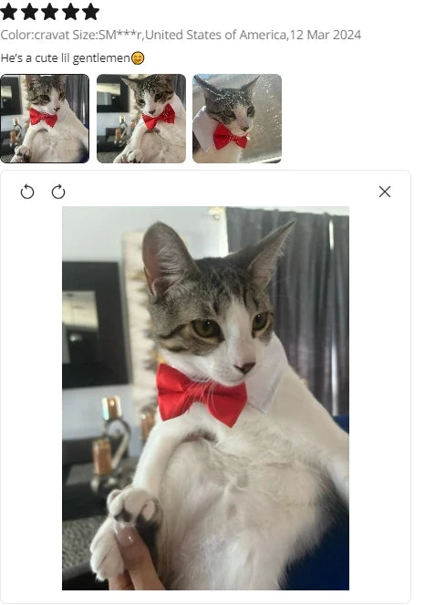Adjustable Pets Bow