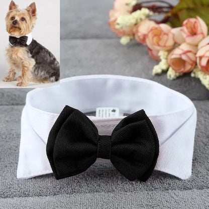 Adjustable Pets Bow