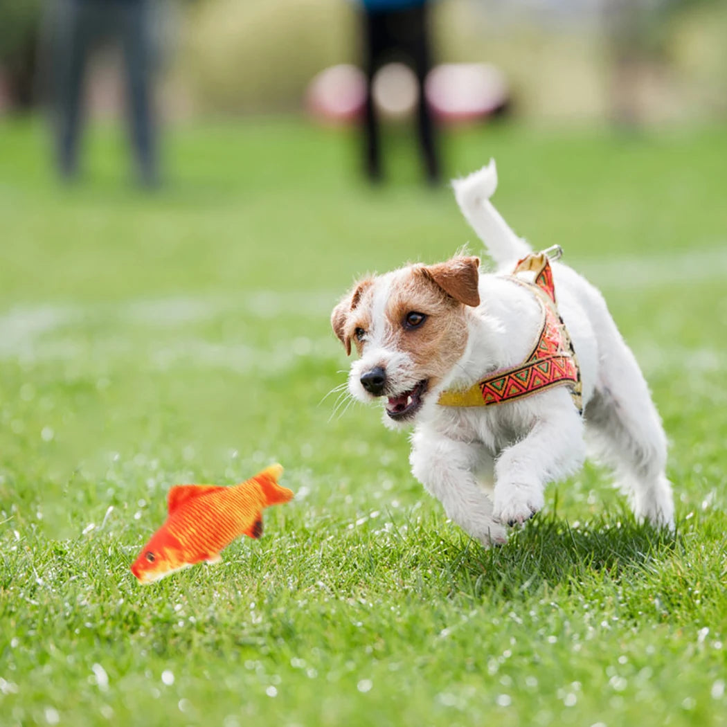 Squeaky Toy For Pet Fish Shape