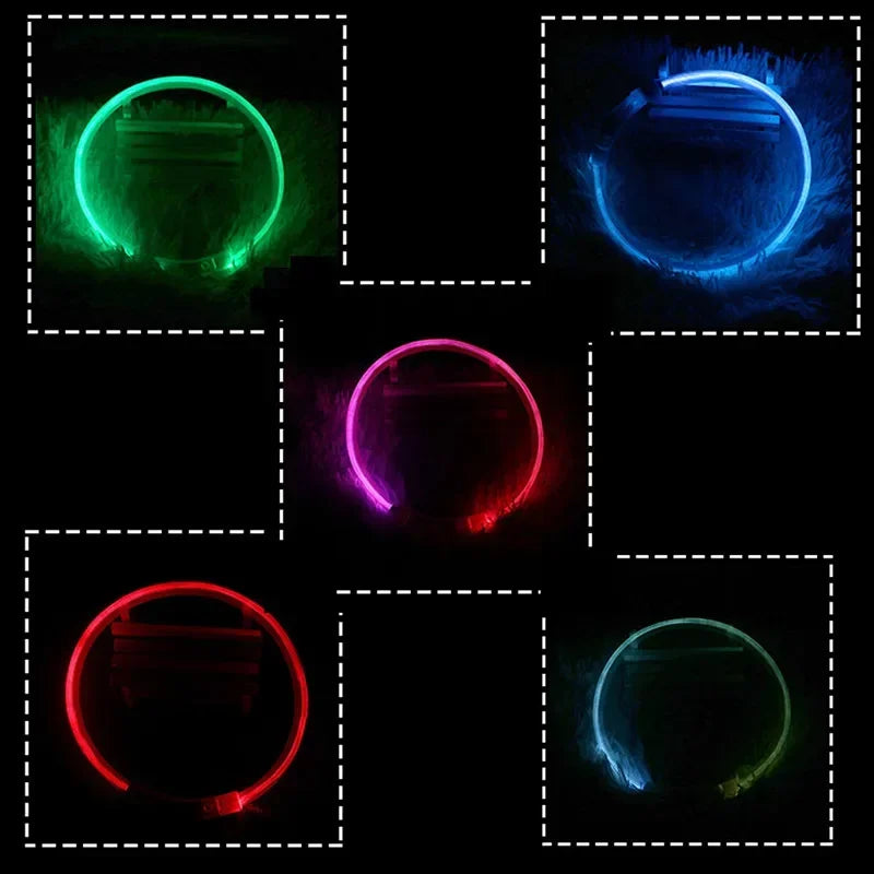 Dog Collar Luminous