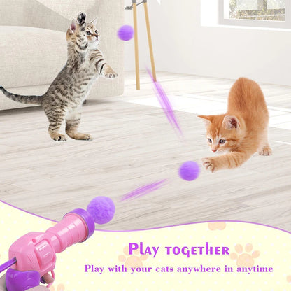 Cat Toy Interactive Fun Toy