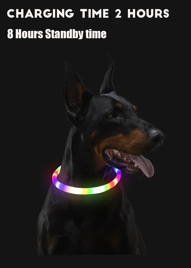 Dog Collar Luminous