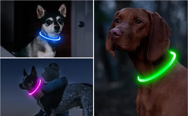 Dog Collar Luminous