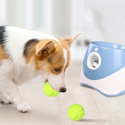 Automatic Dog Tennis Launcher