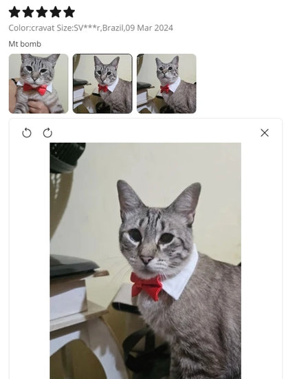 Adjustable Pets Bow