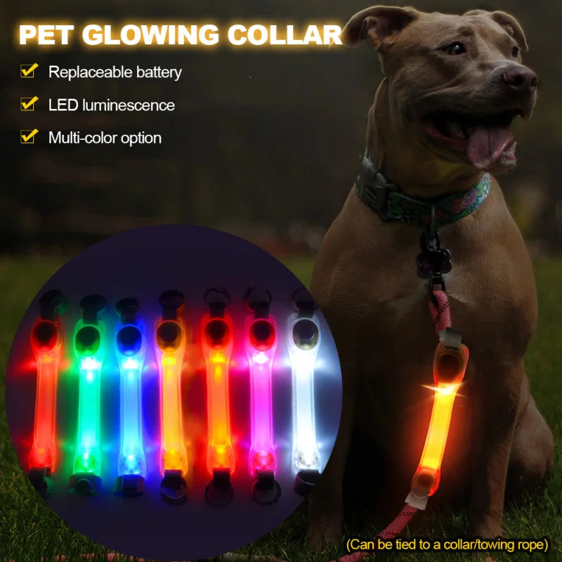 Dog Anti Lost Safety Glowing Collar