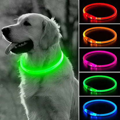 Dog Collar Luminous