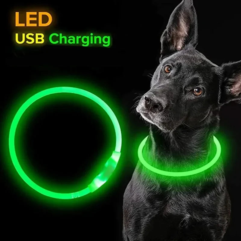 Dog Collar Luminous