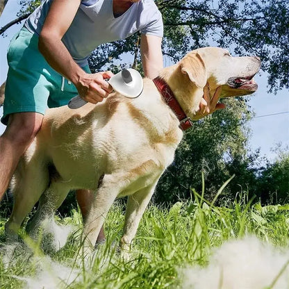 Pet Dog Brush