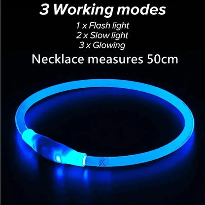 Dog Collar Luminous