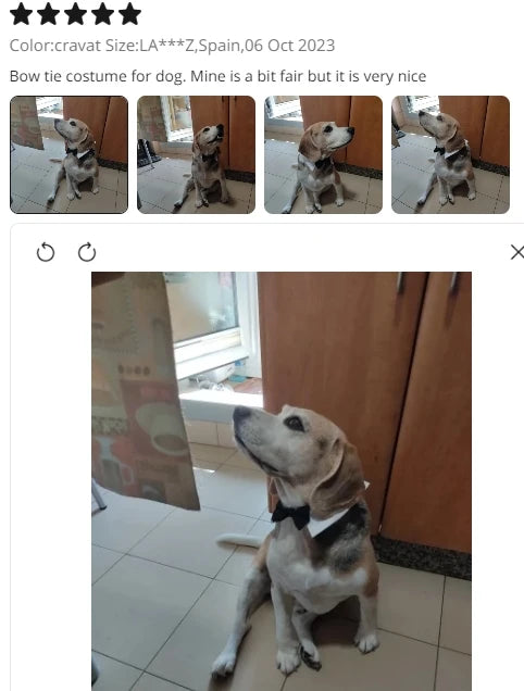 Adjustable Pets Bow