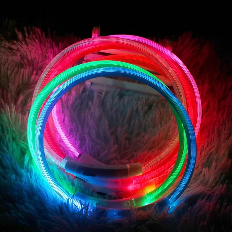 Dog Collar Luminous