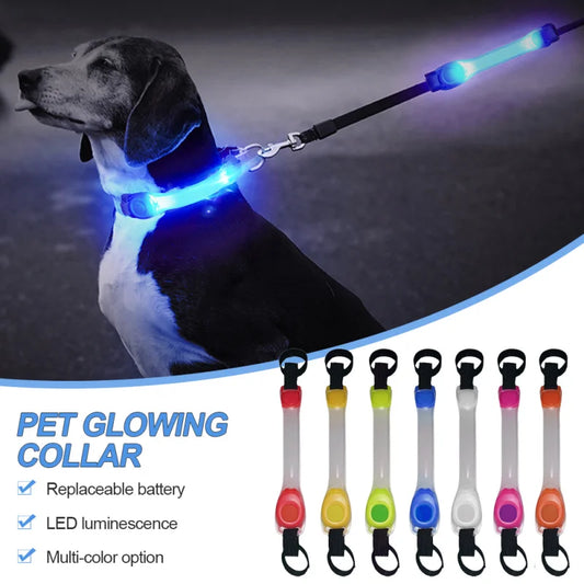 Dog Anti Lost Safety Glowing Collar