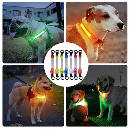 Dog Anti Lost Safety Glowing Collar